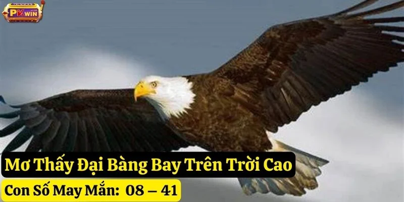 nằm-mơ-thấy-đại-bàng-tại-pkwin nằm mơ đại bàng