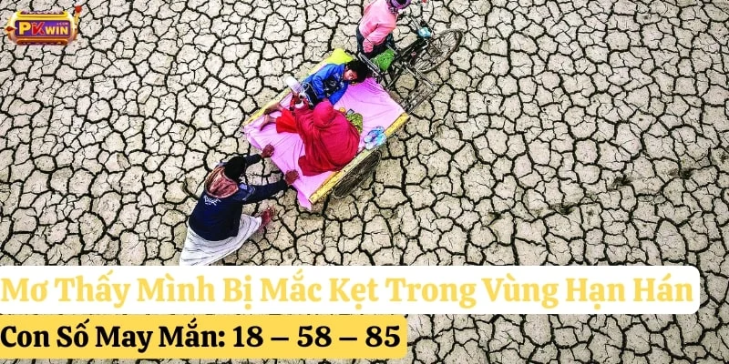 mơ thấy hạn hán pkwin