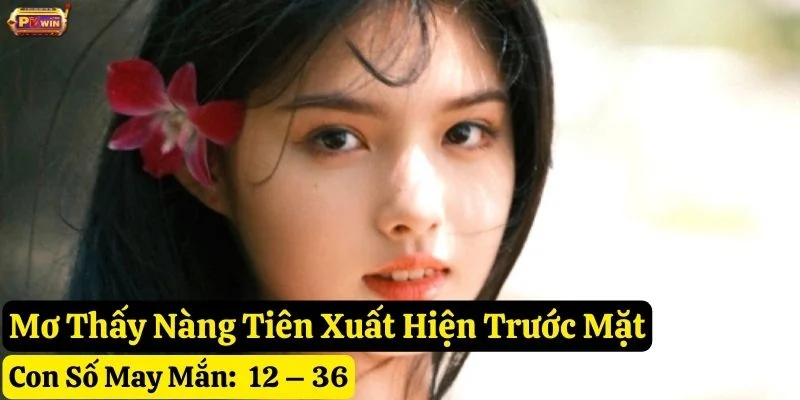mơ thấy nàng tiên pkwin