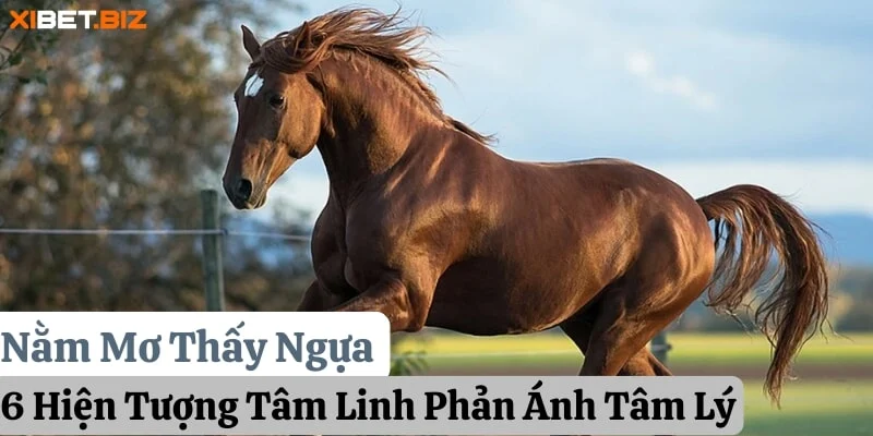 Nằm Mơ Thấy Ngựa: 6 Hiện Tượng Tâm Linh Phản Ánh Tâm Lý