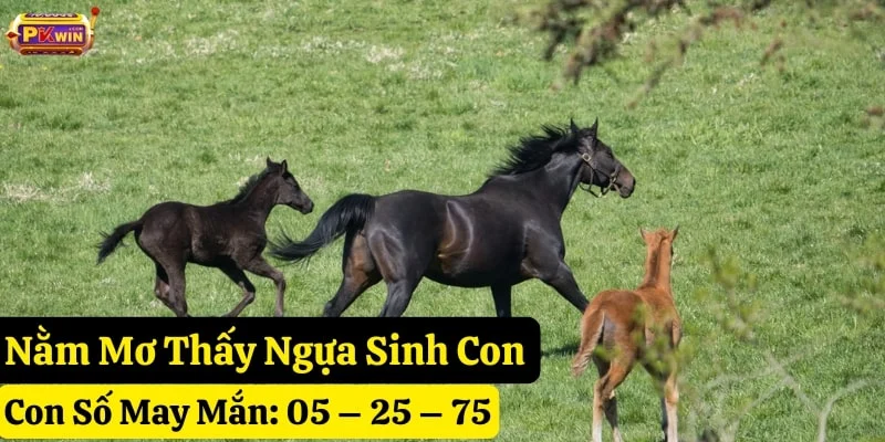 nằm mơ thấy ngựa pkwin