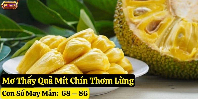 nằm mơ thấy quả mít