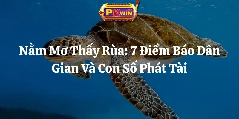 Nằm Mơ Thấy Rùa: 7 Điềm Báo Dân Gian Và Con Số Phát Tài