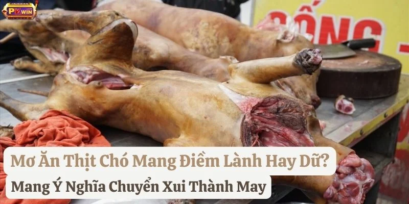 ngủ-mơ-ăn-thịt-chó-ở-pkwin mơ ăn thịt chó