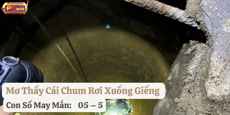 mơ thấy cái chum