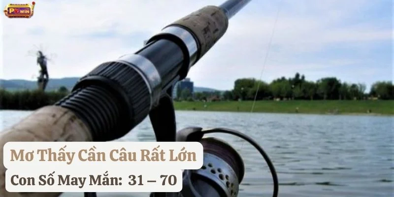 mơ thấy cần câu