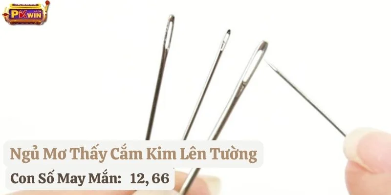 ngủ mơ thấy cây kim