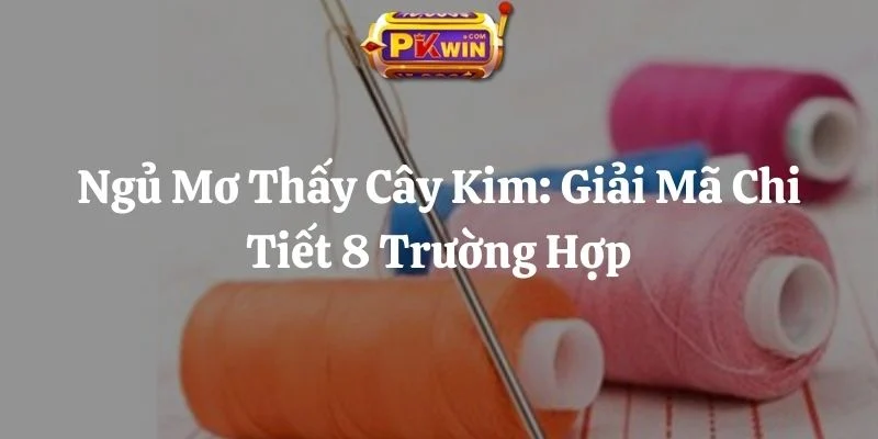 Ngủ Mơ Thấy Cây Kim: Giải Mã Chi Tiết 8 Trường Hợp