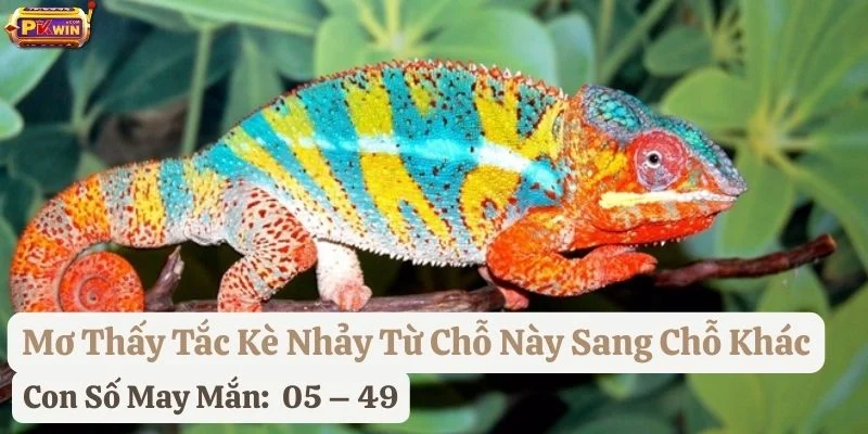 nằm mơ thấy tắc kè