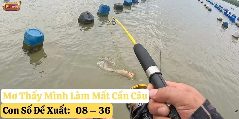 nằm mơ thấy cần câu