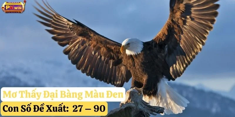 pkwin-nằm-mơ-thấy-đại-bàng mơ thấy đại bàng