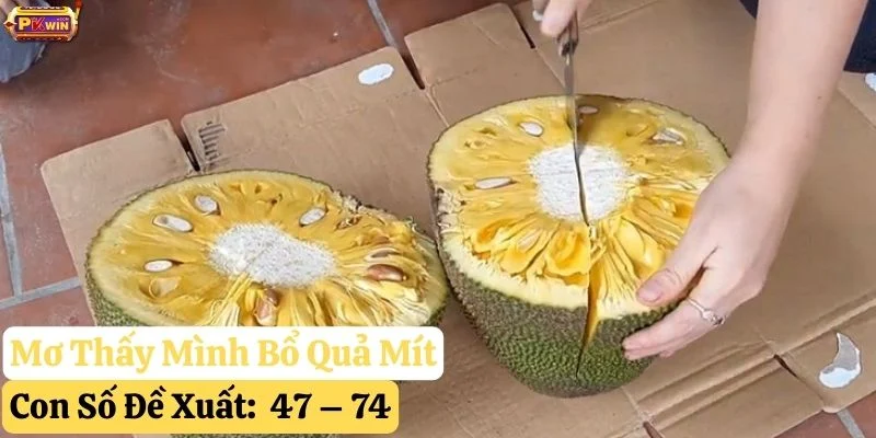 mơ thấy quả mít