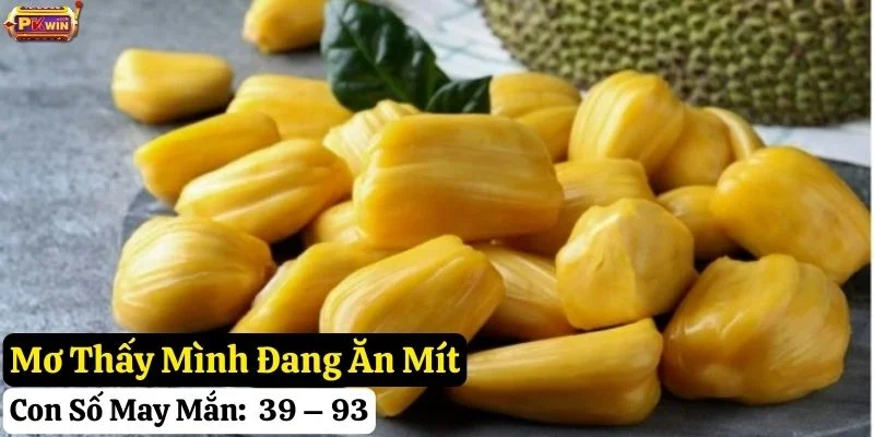 mơ thấy quả mít pkwin