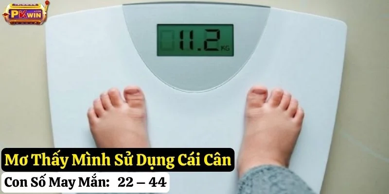 nằm mơ cái cân