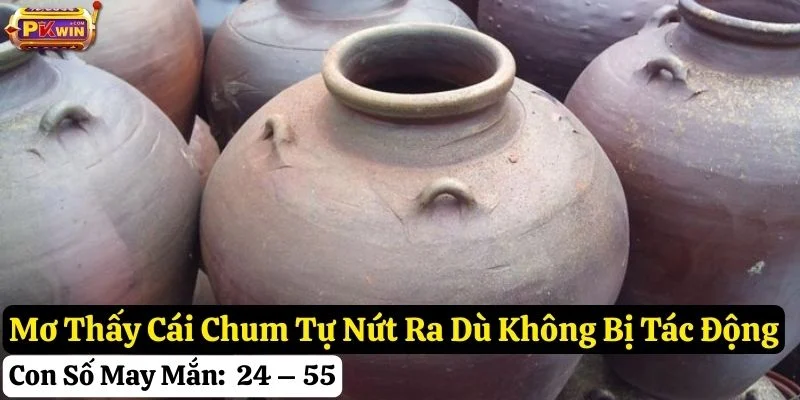 nằm mơ cái chum