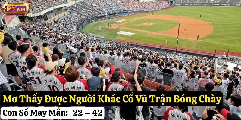 nằm mơ chơi bóng chày