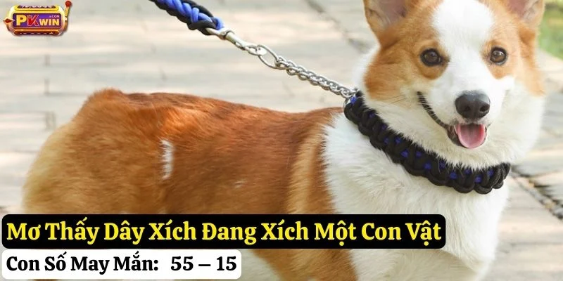 nằm mơ thấy dây xích