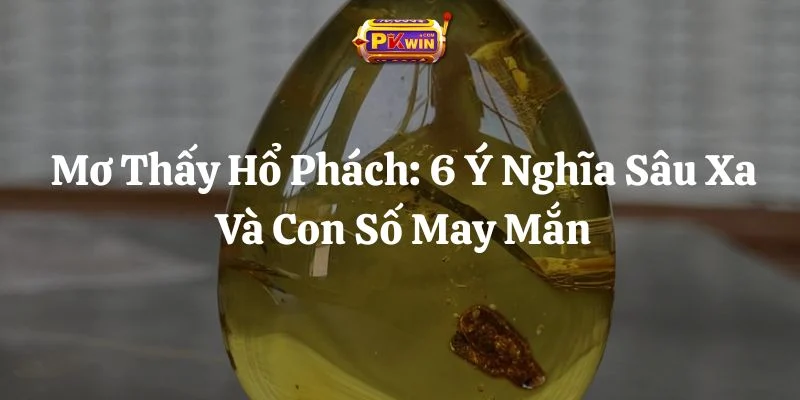 Mơ Thấy Hổ Phách: 6 Ý Nghĩa Sâu Xa Và Con Số May Mắn