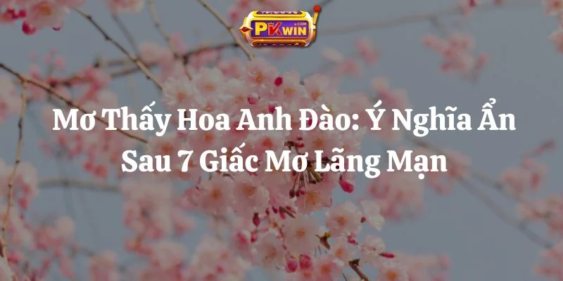 Mơ Thấy Hoa Anh Đào: Ý Nghĩa Ẩn Sau 7 Giấc Mơ Lãng Mạn