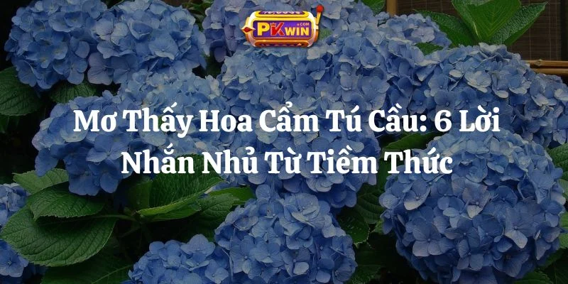Mơ Thấy Hoa Cẩm Tú Cầu: 6 Lời Nhắn Nhủ Từ Tiềm Thức