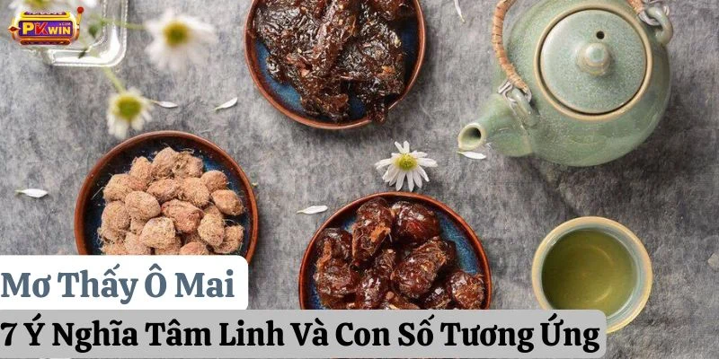 Mơ Thấy Ô Mai: 7 Ý Nghĩa Tâm Linh Và Con Số Tương Ứng