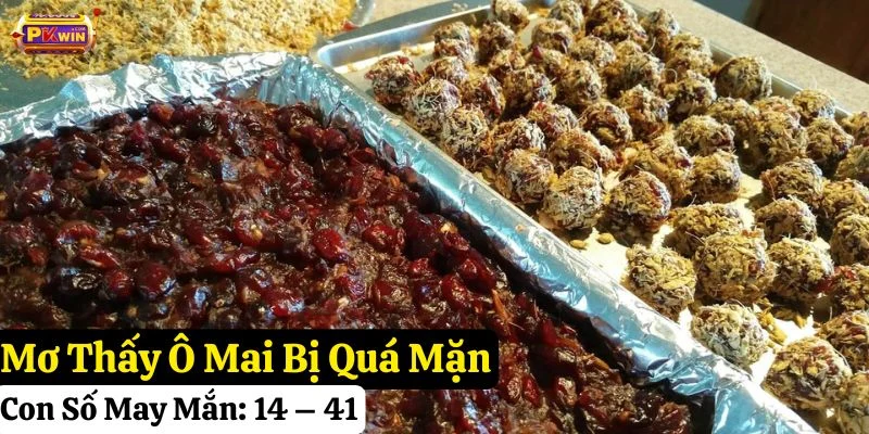 nằm mơ thấy ô mai