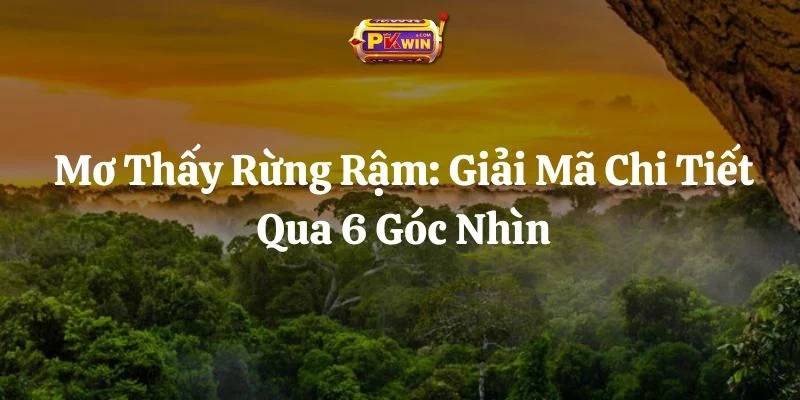 Mơ Thấy Rừng Rậm: Giải Mã Chi Tiết Qua 6 Góc Nhìn