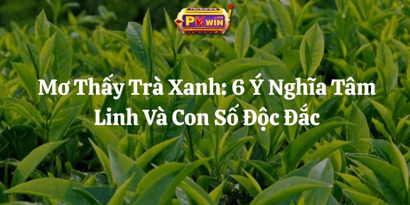 Mơ Thấy Trà Xanh: 6 Ý Nghĩa Tâm Linh Và Con Số Độc Đắc