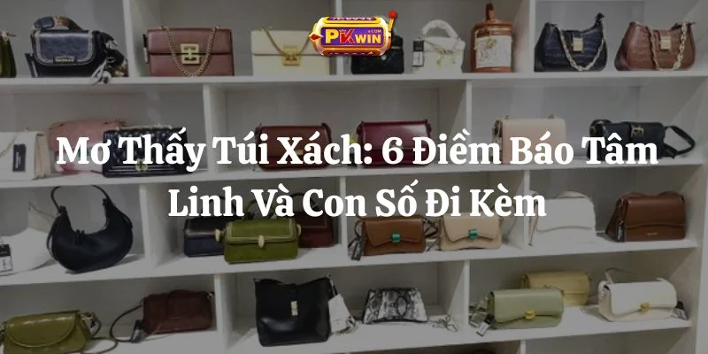 Mơ Thấy Túi Xách: 6 Điềm Báo Tâm Linh Và Con Số Đi Kèm