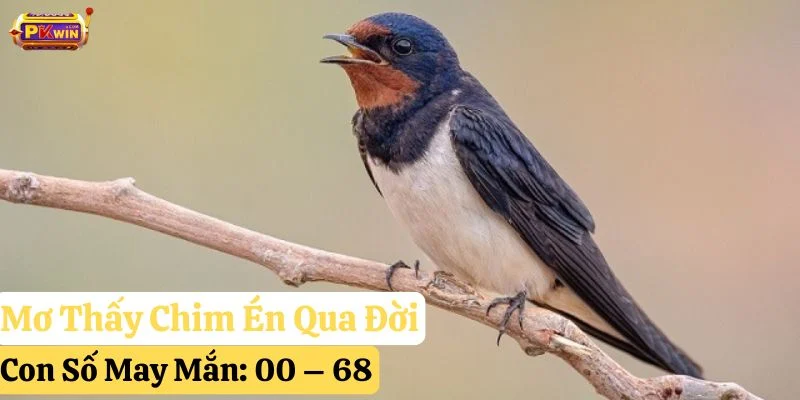 mơ thấy chim én pkwin