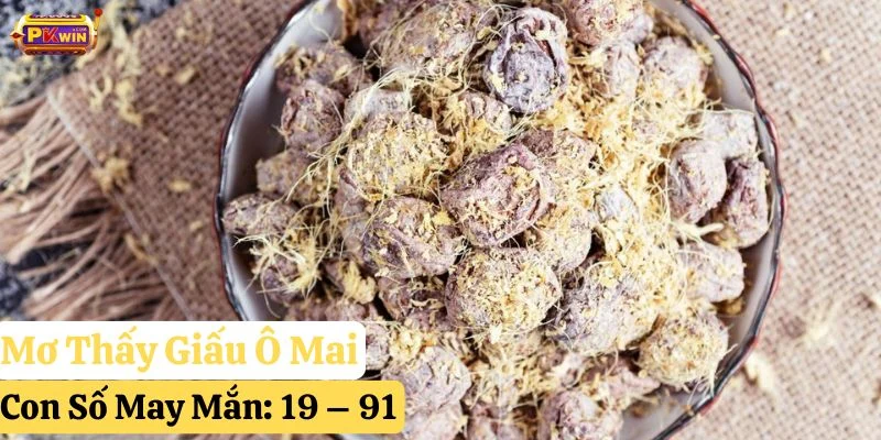 mơ thấy ô mai pkwin