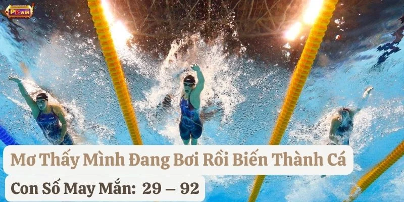 ngủ-mơ-mình-đang-bơi-ở-pkwin nằm mơ thấy mình đang bơi