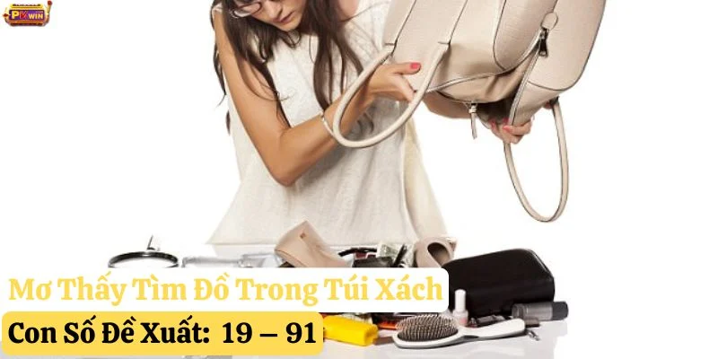 mơ thấy túi xách