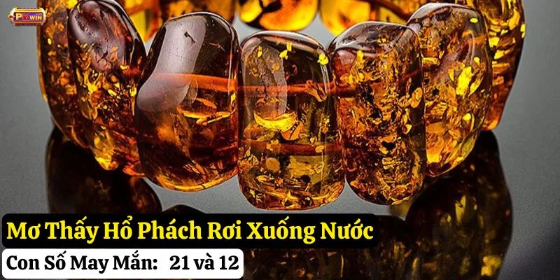 mơ thấy hổ phách pkwin